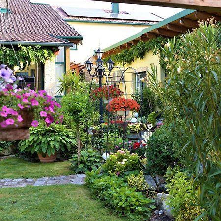 Ferienwohnung Koppi Pamhagen Екстериор снимка