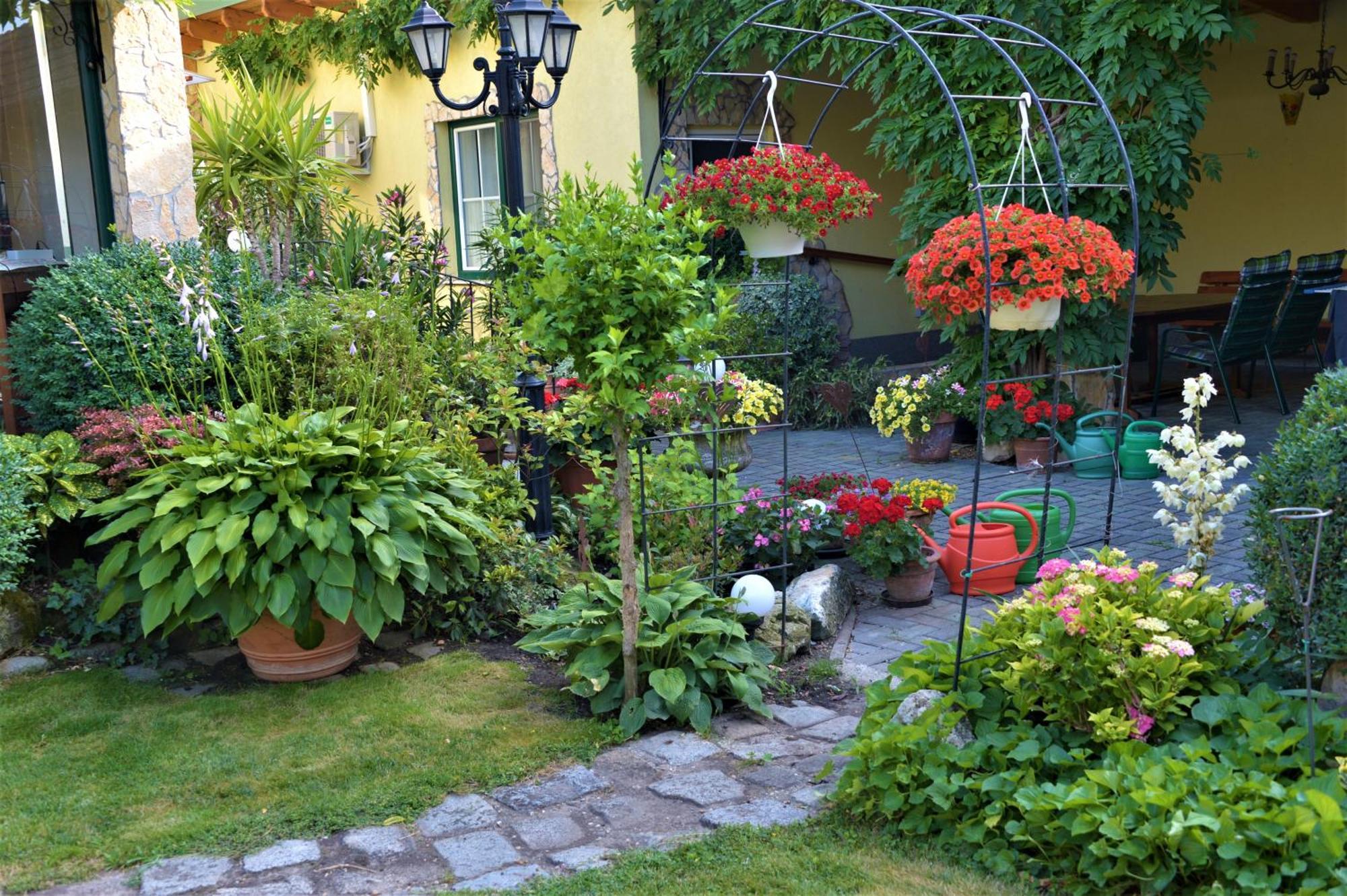Ferienwohnung Koppi Pamhagen Екстериор снимка