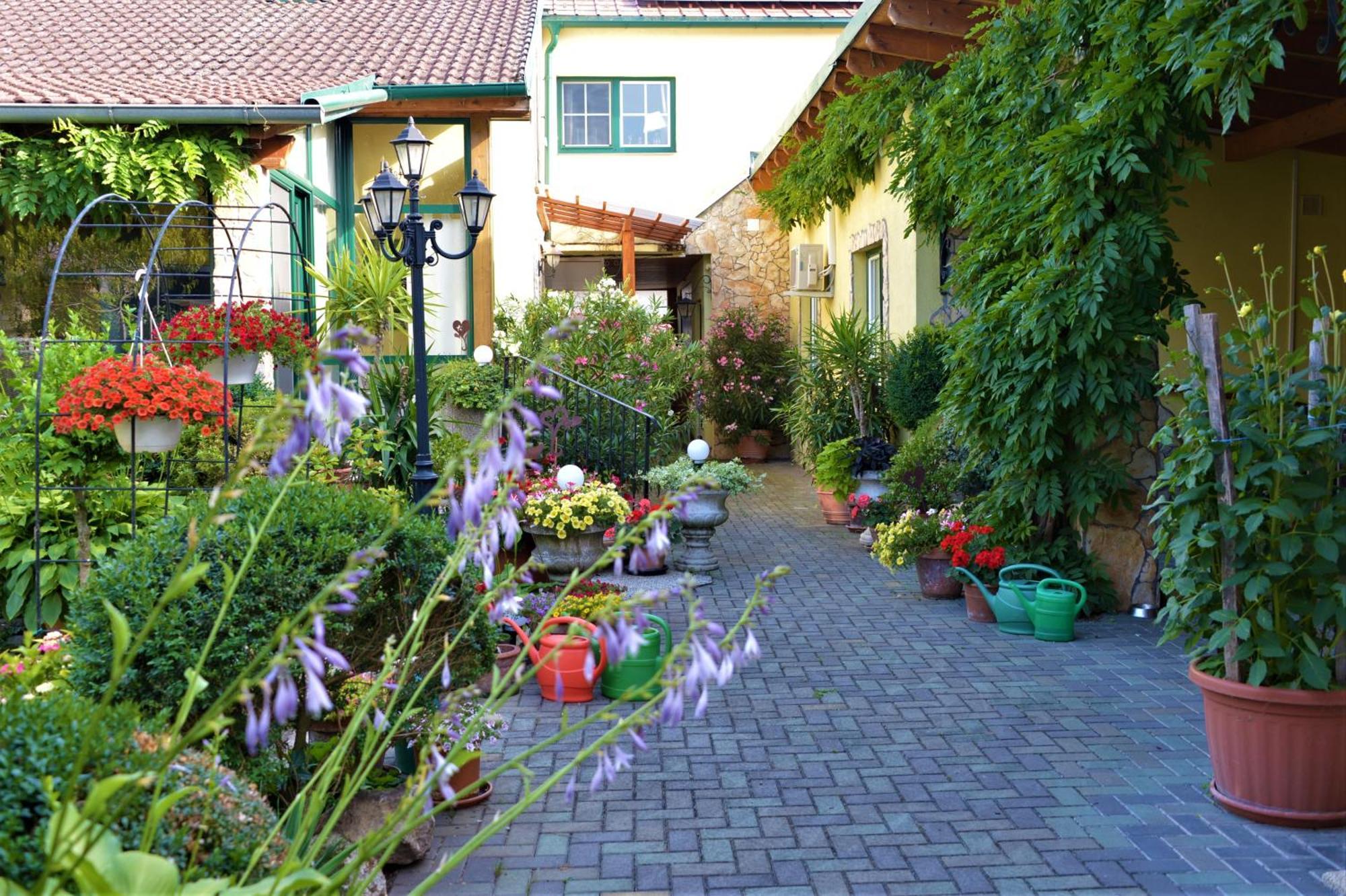 Ferienwohnung Koppi Pamhagen Екстериор снимка