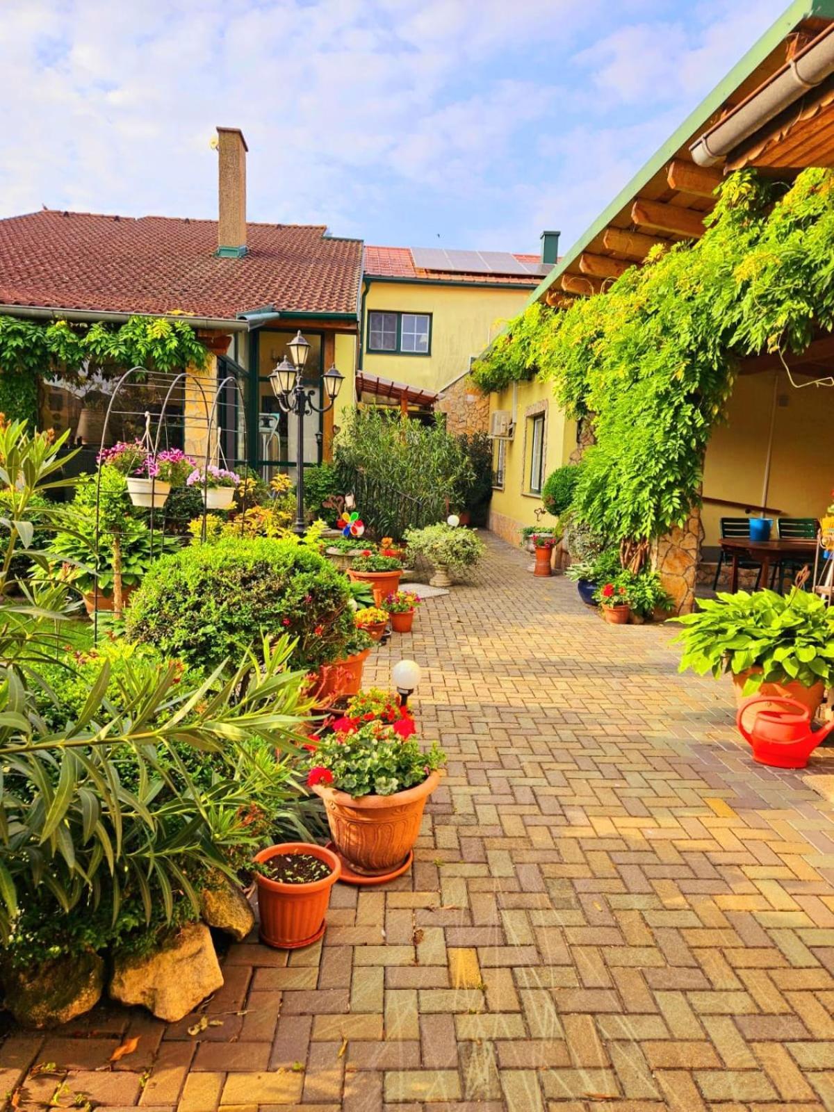 Ferienwohnung Koppi Pamhagen Екстериор снимка