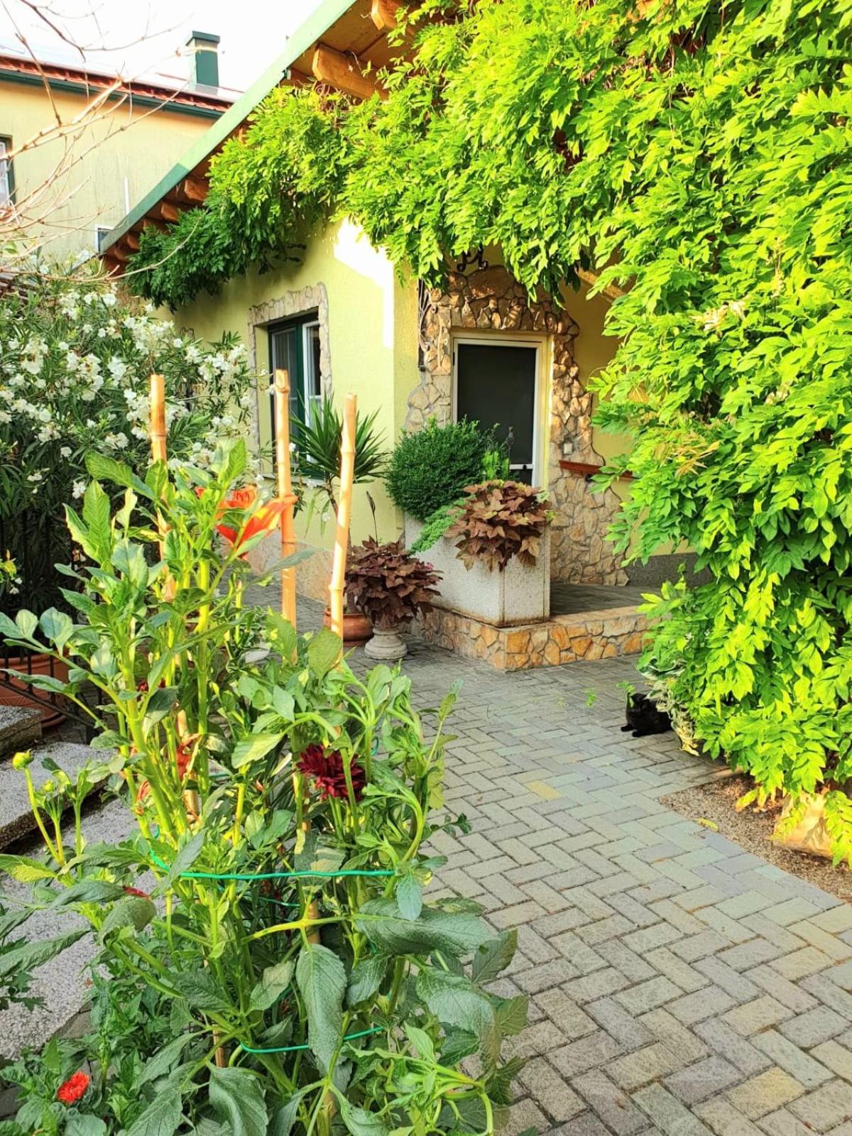 Ferienwohnung Koppi Pamhagen Екстериор снимка