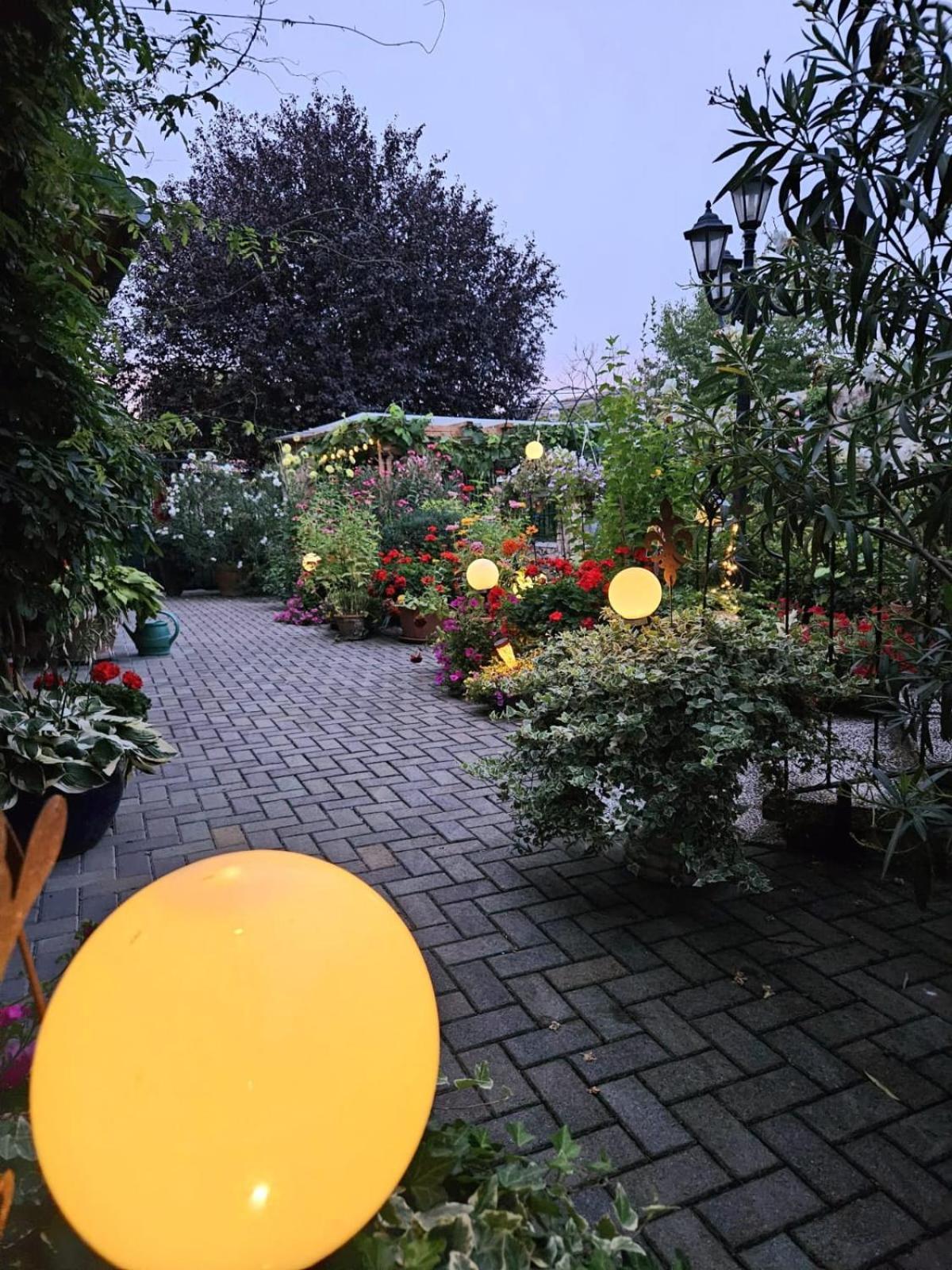 Ferienwohnung Koppi Pamhagen Екстериор снимка