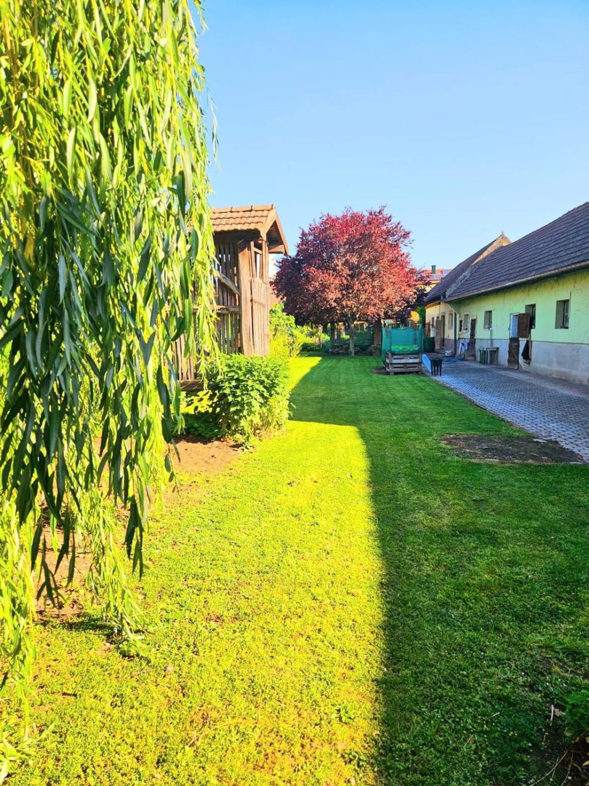 Ferienwohnung Koppi Pamhagen Екстериор снимка