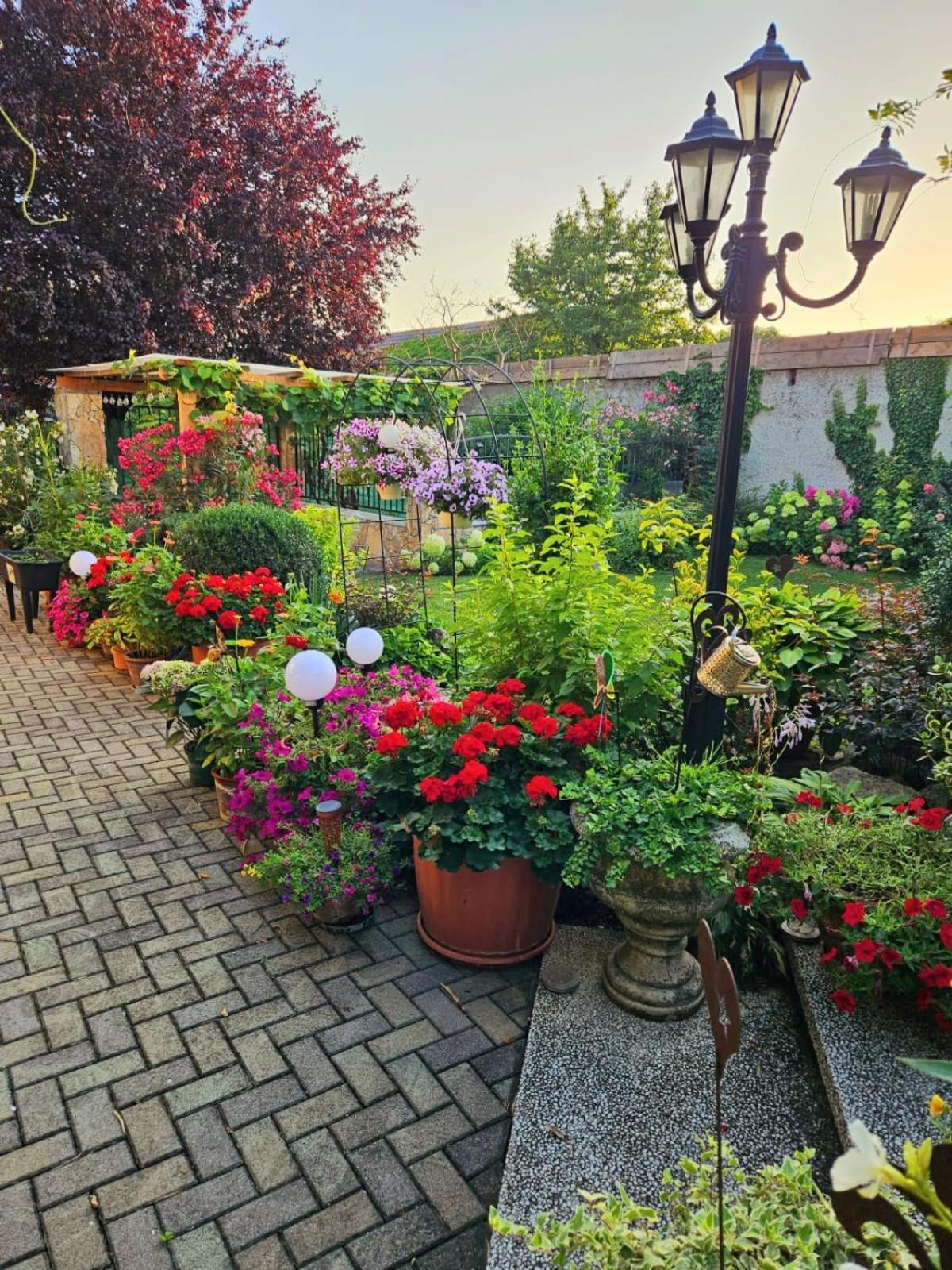 Ferienwohnung Koppi Pamhagen Екстериор снимка