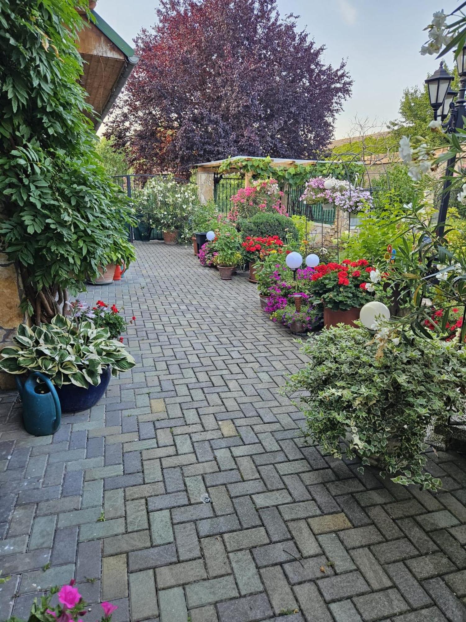 Ferienwohnung Koppi Pamhagen Екстериор снимка